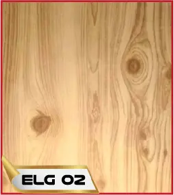 ELG 02